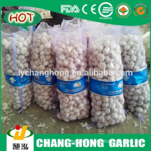 [Hot Sale]Quality agriculture wholesale china natural garlic offer